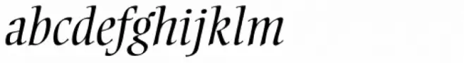 Ellington Pro Light Italic