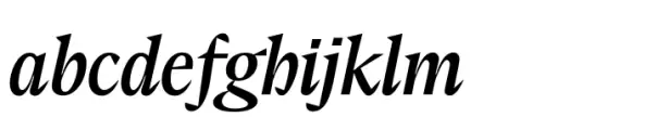 Elvira Serif Italic