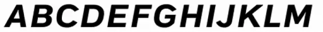 Embarcadero MVB Bold Italic SC