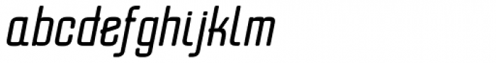 Erazm Light Italic