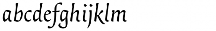 Essay Text Italic