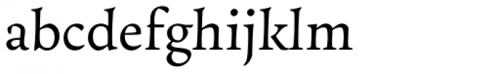 Essay Text