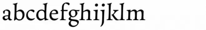 Essay Text