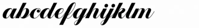 Estampa Script Bold
