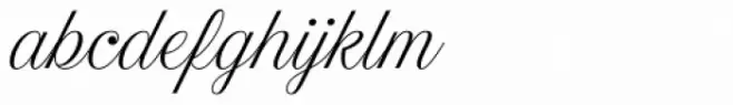 Estampa Script Extra Light