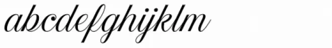 Estampa Script Light