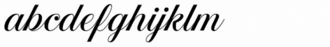 Estampa Script Regular