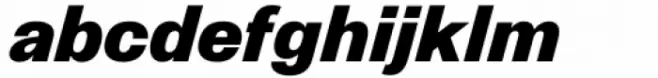 Etrusco Now  Black Italic
