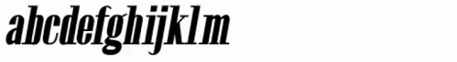 Etymon Bold Oblique