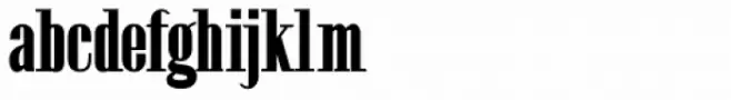 Etymon Bold