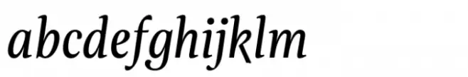 Evans Narrow Book Italic