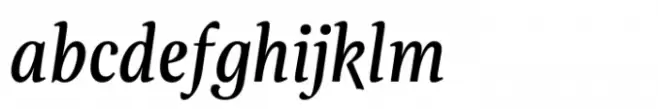Evans Narrow Italic