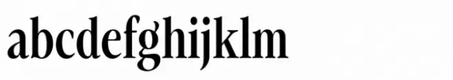 Evoque Condensed Medium