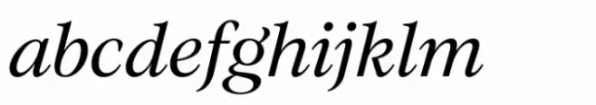 Evoque Italic