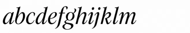 Evoque Narrow Italic
