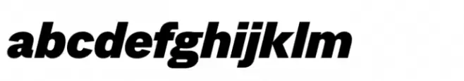 Expline Black Italic