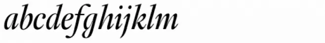Fabrizio A Italic