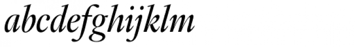 Fabrizio B Italic
