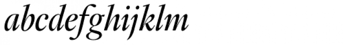 Fabrizio Special Italic