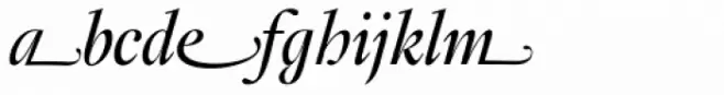 Fabrizio Swash Italic