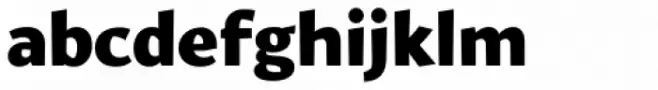 Fair Sans Text Bold