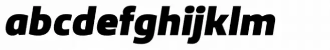 Famiar Black Italic