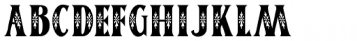 Fancy Free JNL