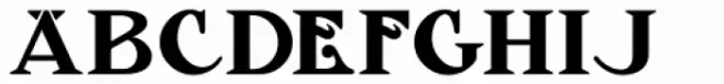 Fancy Nouveau JNL