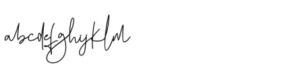 Fashion Signature Regular
