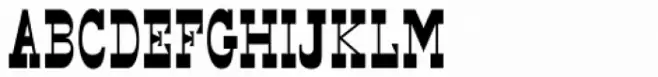 Faux Pas JNL Regular