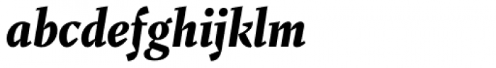 Fazeta Text Black Italic
