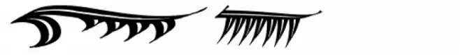 Feathers