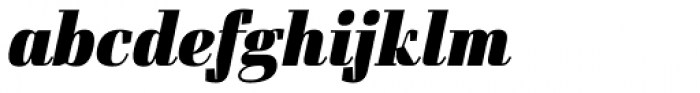 Felis Italic Black