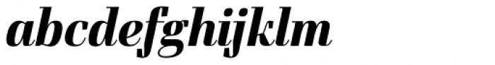 Felis Italic Bold