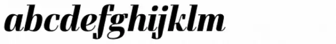 Felis Italic Bold