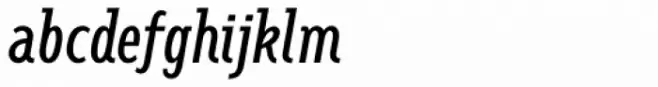 Fellbaum Grotesk Light Italic