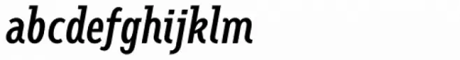 Fellbaum Grotesk Roman Italic