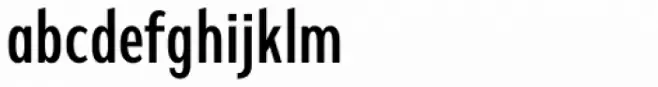 Fellbaum Grotesk Roman