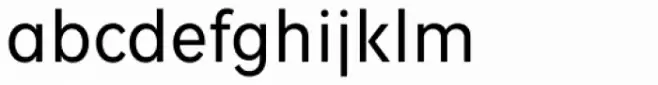 Fenomen Sans SCN Book