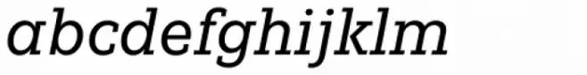 Fenomen Slab SCN Book Italic