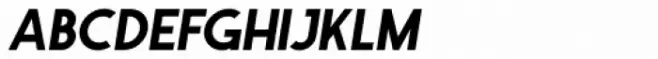 Ferghaus Sans Italic