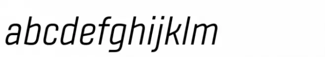 Fester Regular Italic