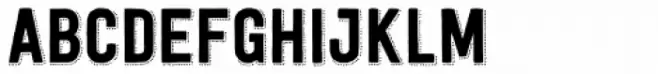 Festivo Letters No.11