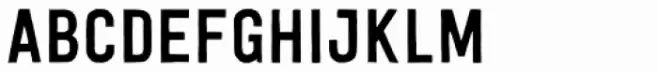 Festivo Letters No.19