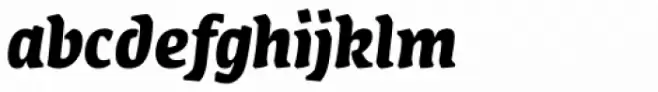FF Amman Serif Pro Bold Italic