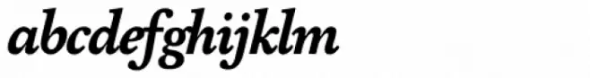 FF Atma Serif OT Black Italic