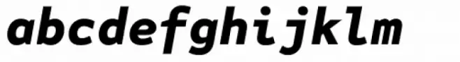 FF Attribute Mono Black Italic