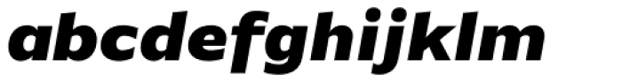 FF Basic Gothic Pro Black Italic