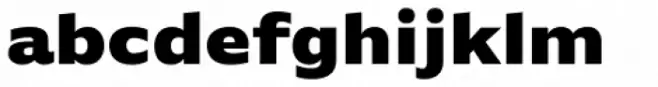 FF Basic Gothic Pro Black