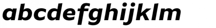FF Basic Gothic Pro Bold Italic